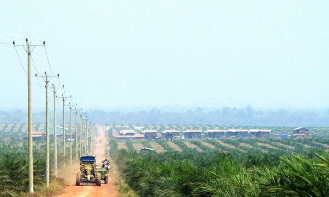 Hoàng Anh Gia Lai Agrico bắt đầu lưu ký chứng khoán từ 8/7