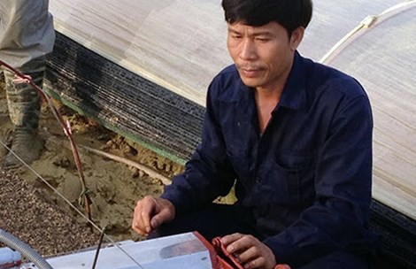 "Hai lúa" Việt chinh phục ông chủ Israel