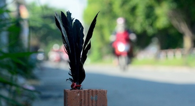Bán hàng kiểu bày dấu hiệu ở Sài Gòn
