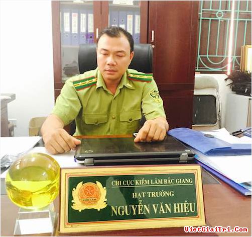 Vụ “nhà quan” phá rừng Sơn Động: Hệ thống kiểm lâm “tê liệt” cục bộ!  