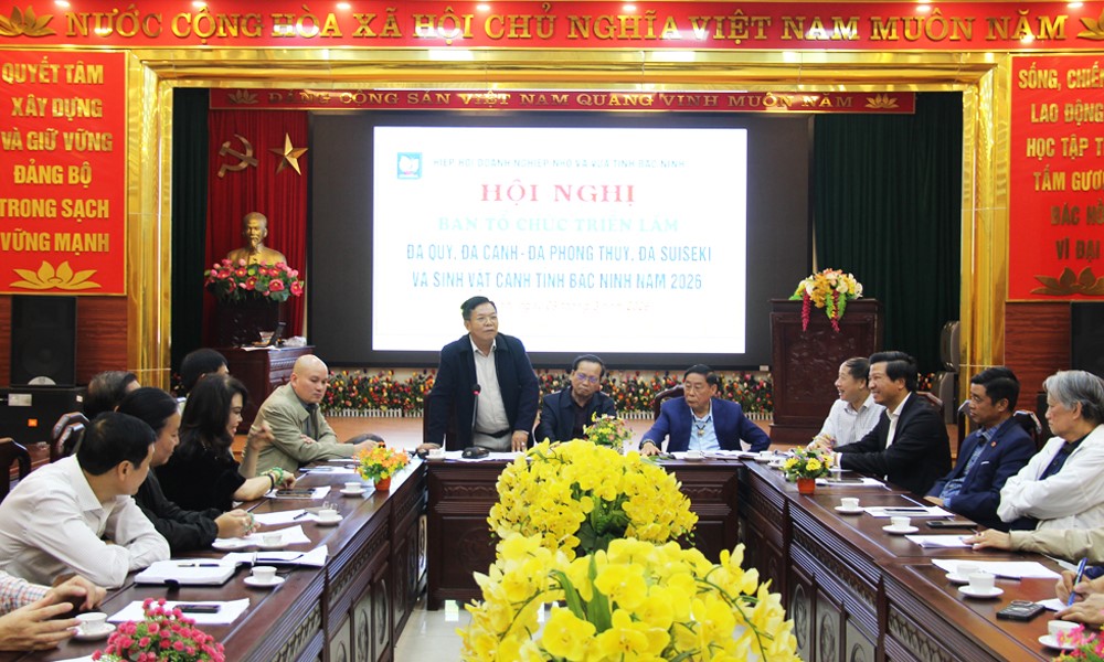 Triển khai kế hoạch triển lãm Đá quý, đá cảnh – đá phong thuỷ và Sinh vật cảnh tỉnh năm 2026