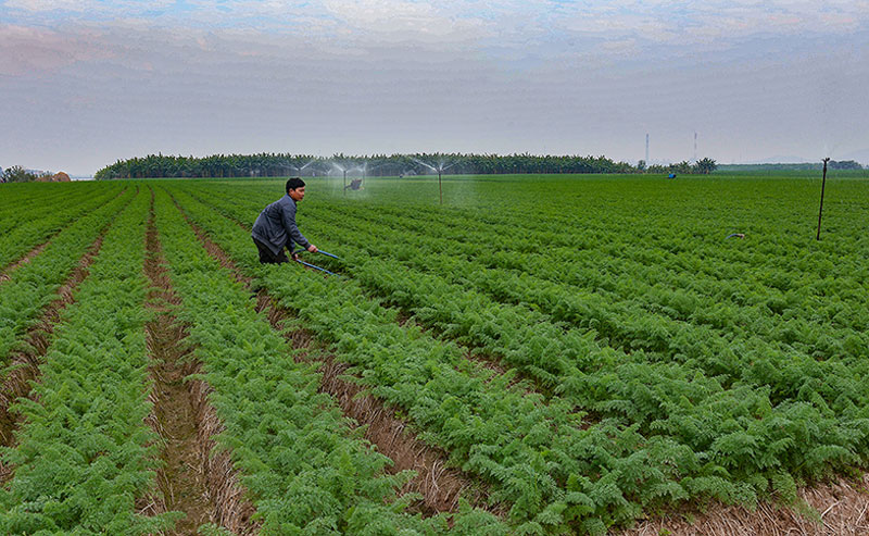 Nông dân Bắc Ninh với phong trào thi đua sản xuất kinh doanh giỏi