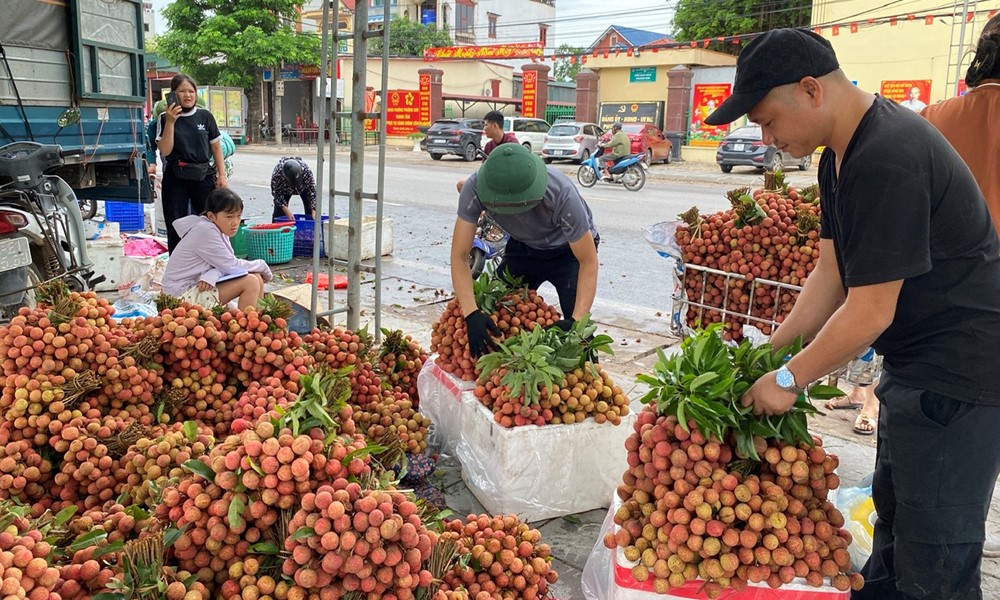 Giá bán vải thiều cao, Bắc Ninh thu gần 6.000 tỷ đồng